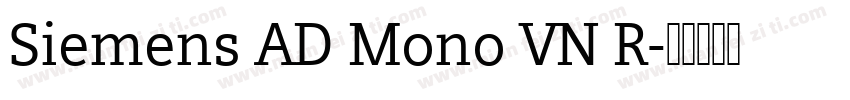 Siemens AD Mono VN R字体转换